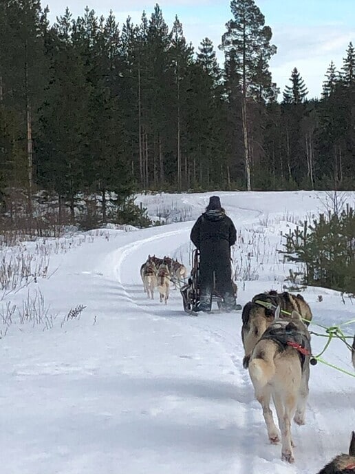 Hans en Jannie hebben wel sneeuw op hun vakantieadres - Foto: Ingezonden foto