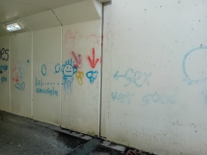 Schokkerende graffiti fietstunnel Ankum - Foto: Ingezonden foto
