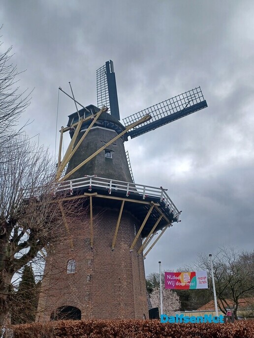Succesvolle NLdoet dag bij Molen van Fakkert - Foto: Ingezonden foto