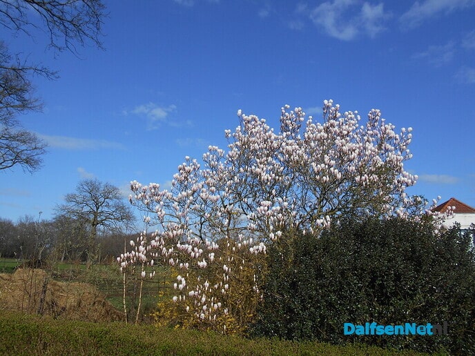 De lente doet goed zijn werk