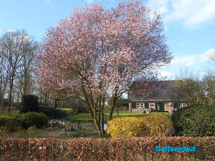 De lente doet goed zijn werk