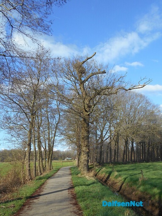 Meer ooievaars actief