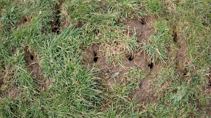 Dijken inspectie dit voorjaar door Waterschap - Foto: Ingezonden foto