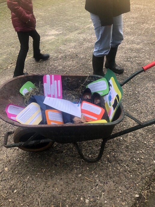 MBO studenten op de boerderij in Dalfsen - Foto: Ingezonden foto