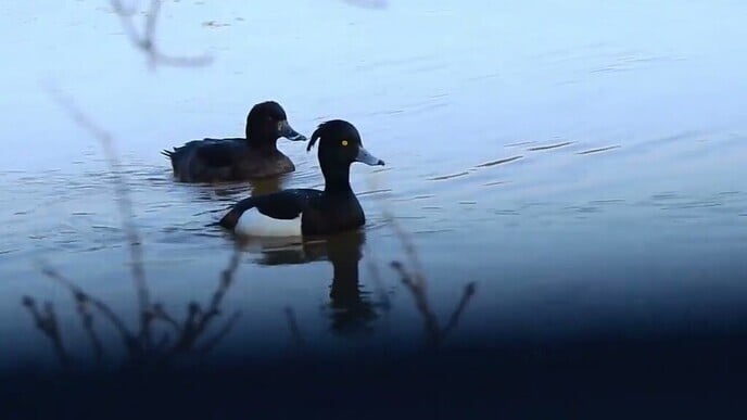 De natuur van Oudleusen ontwaakt