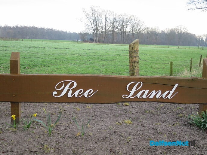 Weer een mooie zondagmorgen om te wandelen - Foto: Wim