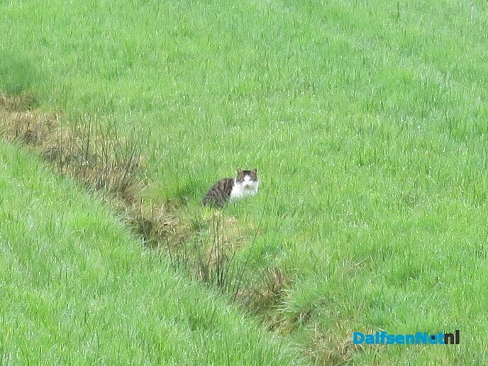 Weer een mooie zondagmorgen om te wandelen - Foto: Wim