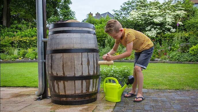 De lente en broedseizoen zijn gestart - Foto: Ingezonden foto