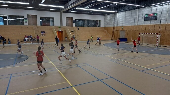 Schoolhandbaltoernooi - Foto: Ingezonden foto