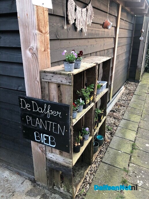 De Dalfser Plantenbieb is weer geopend - Foto: Ingezonden foto