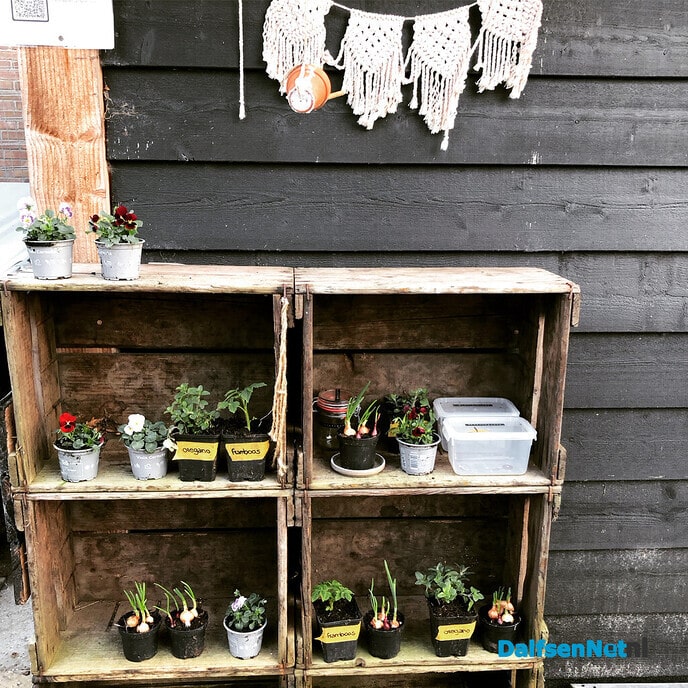 De Dalfser Plantenbieb is weer geopend - Foto: Ingezonden foto