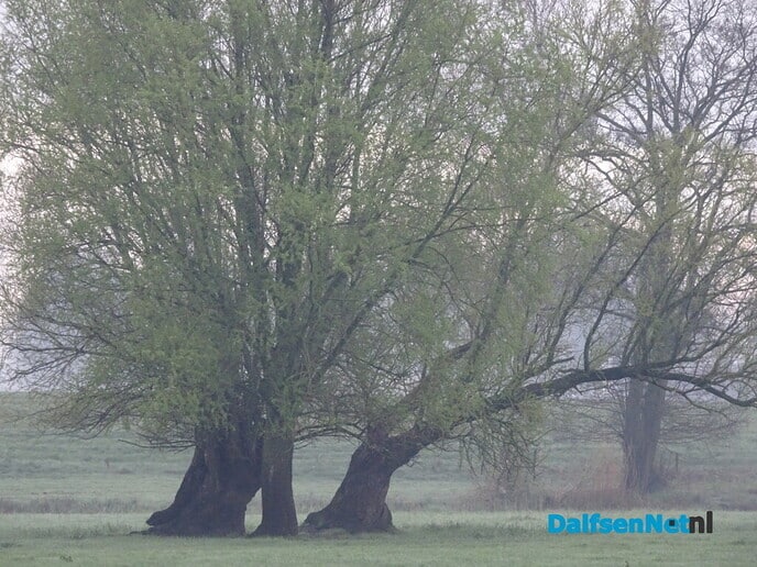 Gezinsuitbreiding in Hessum - Foto: Ingezonden foto