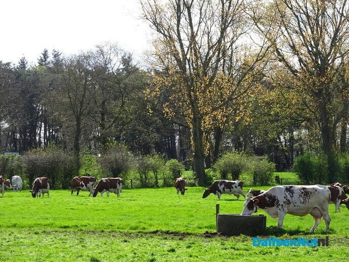 De paden op… - Foto: Ingezonden foto
