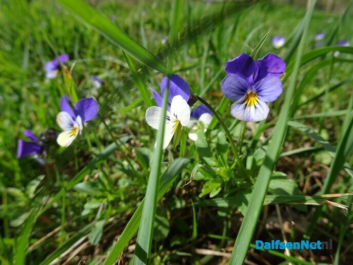 De paden op… - Foto: Ingezonden foto