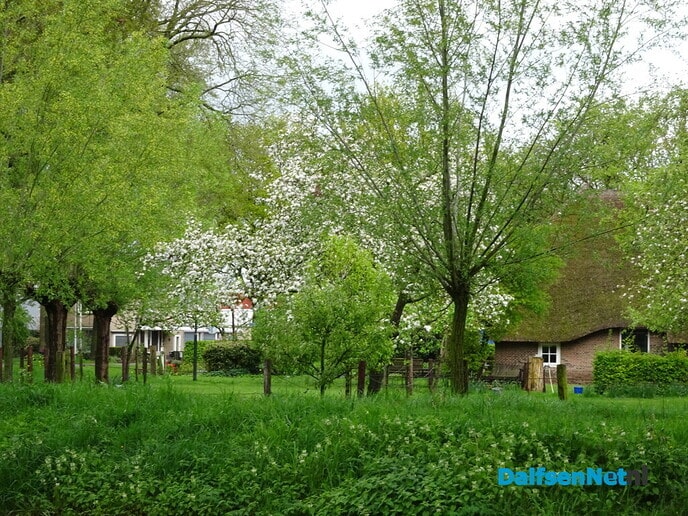 Prachtige wolkenluchten - Foto: Ingezonden foto