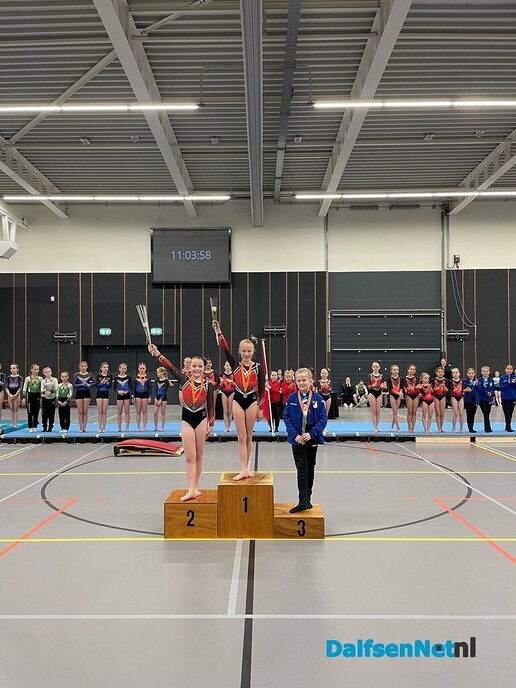 Turnsters gym. vereniging goed op diverse wedstrijden - Foto: Ingezonden foto