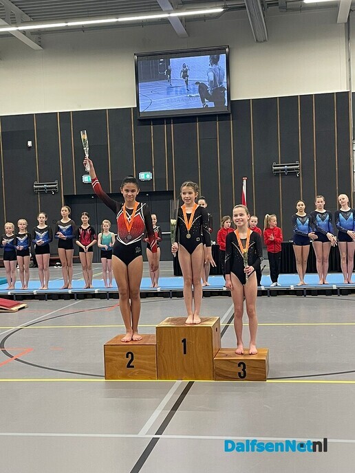 Turnsters gym. vereniging goed op diverse wedstrijden - Foto: Ingezonden foto