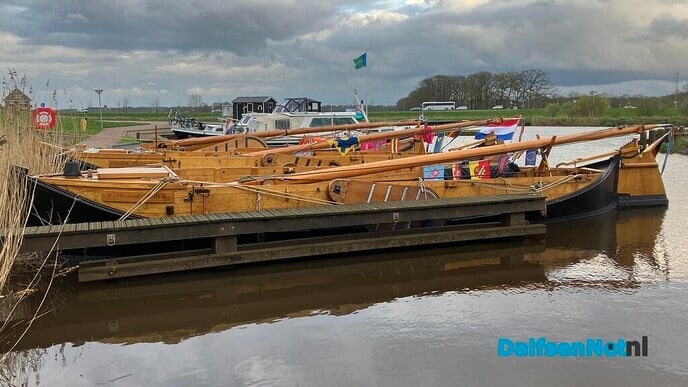Drie Vechtzompen in Dalfser haven - Foto: Paul Scholten