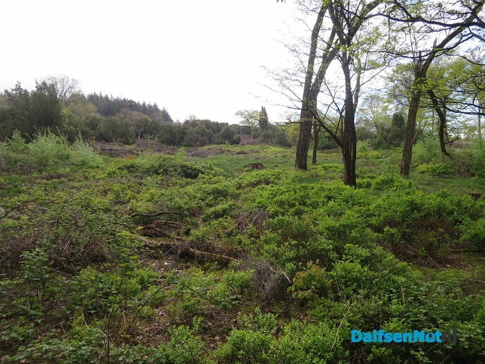Een vroege ochtendwandeling over de Lemelerberg - Foto: Wim