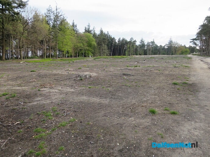 Een vroege ochtendwandeling over de Lemelerberg - Foto: Wim