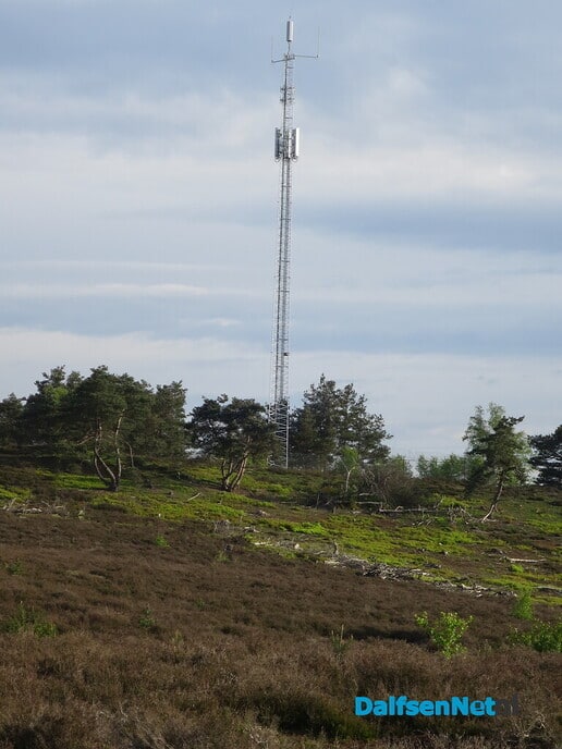 Een vroege ochtendwandeling over de Lemelerberg - Foto: Wim