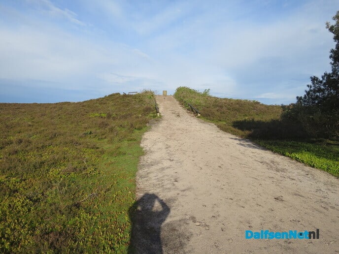 Een vroege ochtendwandeling over de Lemelerberg - Foto: Wim