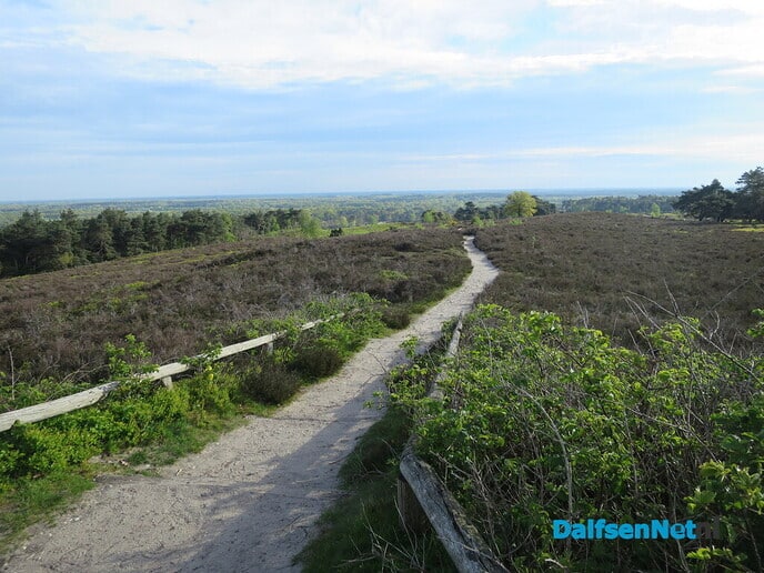 Een vroege ochtendwandeling over de Lemelerberg - Foto: Wim
