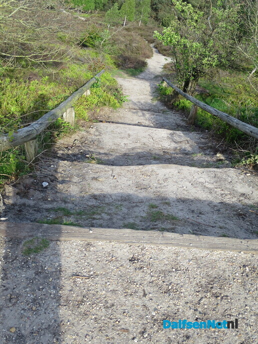 Een vroege ochtendwandeling over de Lemelerberg - Foto: Wim