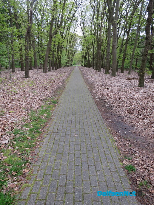 Een vroege ochtendwandeling over de Lemelerberg - Foto: Wim