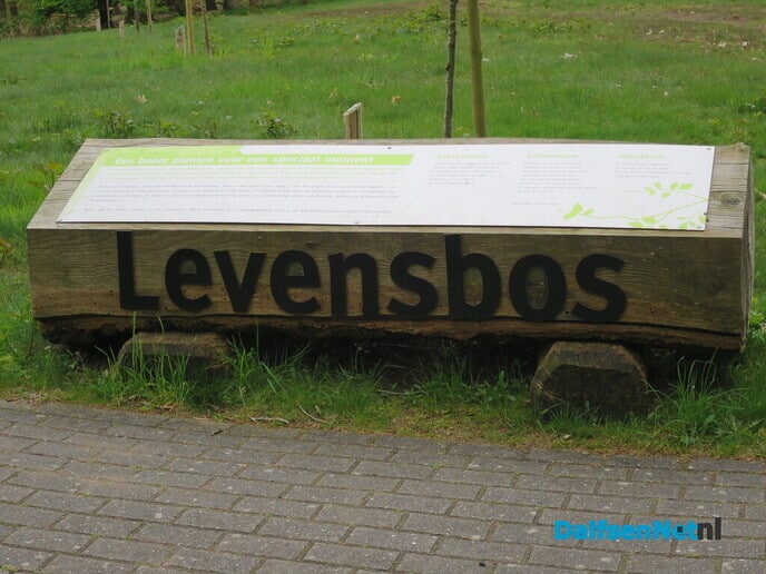 Een vroege ochtendwandeling over de Lemelerberg - Foto: Wim
