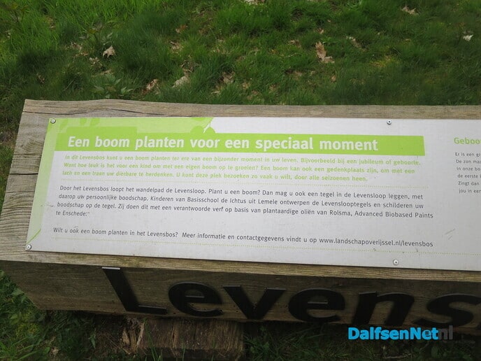 Een vroege ochtendwandeling over de Lemelerberg - Foto: Wim