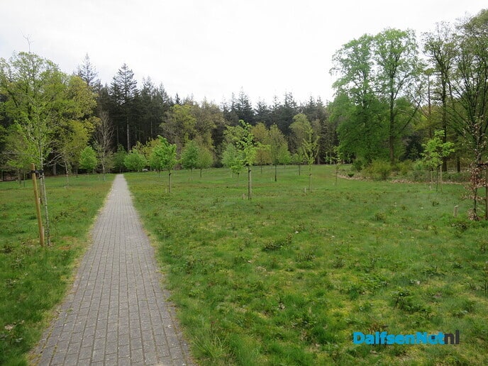 Een vroege ochtendwandeling over de Lemelerberg - Foto: Wim