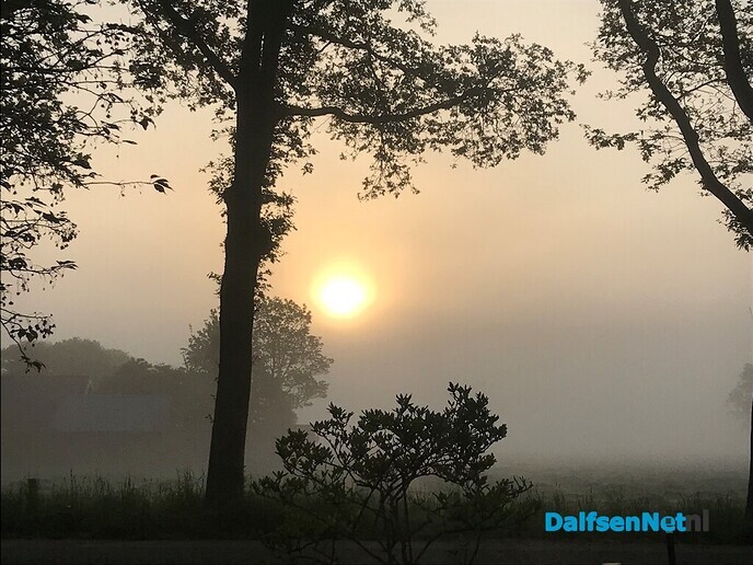Er viel genoeg dauw te trappen …. - Foto: Willie uut Hessum