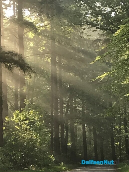 Er viel genoeg dauw te trappen …. - Foto: Willie uut Hessum