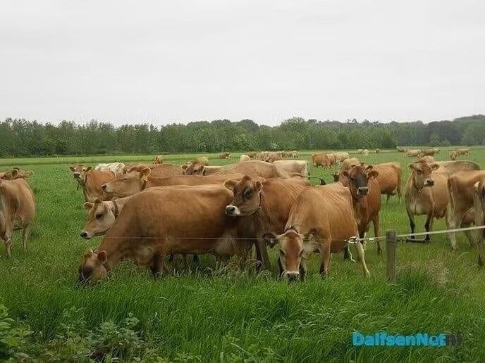 Fam. Ruitenberg in het nieuws