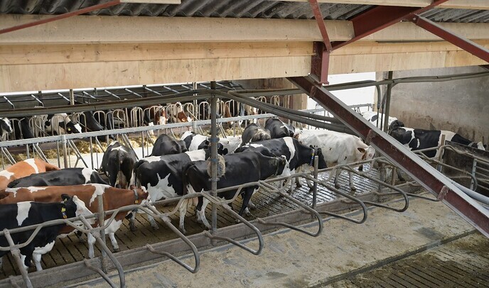 Opening boerderijwinkel De Weijdeman
