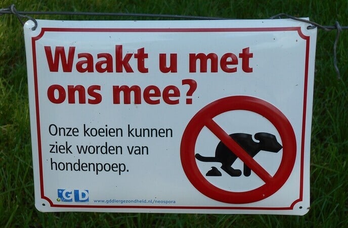 Juist daarom: honden aan de lijn