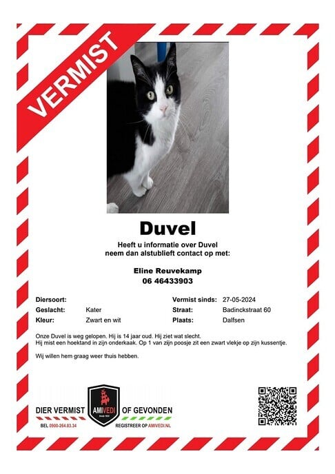Duvel vermist en gevonden - Foto: Ingezonden foto