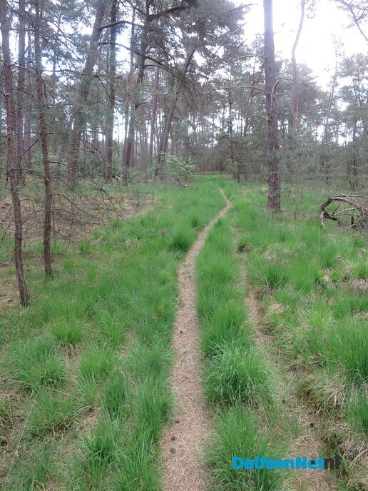 Een after zondagwandeling via het Rechterenseveld - Foto: Wim