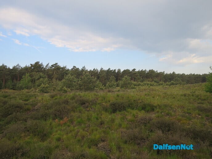 Een after zondagwandeling via het Rechterenseveld - Foto: Wim