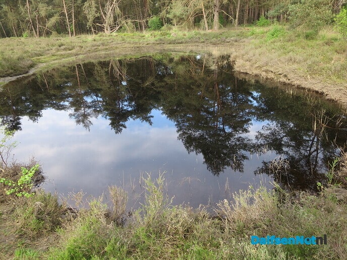 Een after zondagwandeling via het Rechterenseveld - Foto: Wim