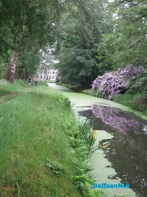 GreenShoes “De Groene Looper Wandeltocht” groot succes - Foto: Wim