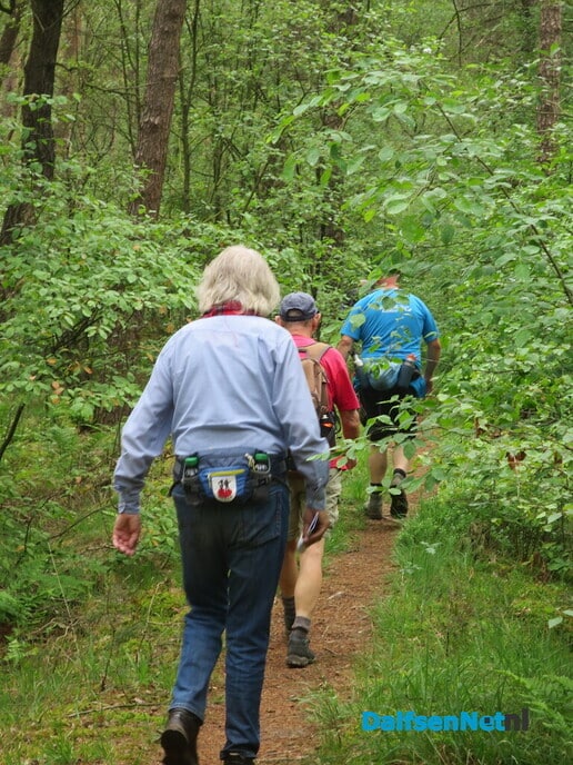 GreenShoes “De Groene Looper Wandeltocht” groot succes - Foto: Wim