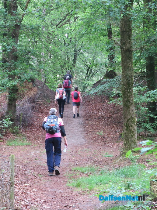 GreenShoes “De Groene Looper Wandeltocht” groot succes - Foto: Wim