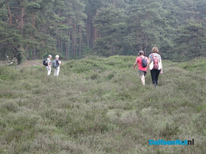GreenShoes “De Groene Looper Wandeltocht” groot succes - Foto: Wim
