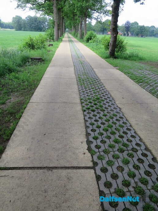 GreenShoes “De Groene Looper Wandeltocht” groot succes - Foto: Wim