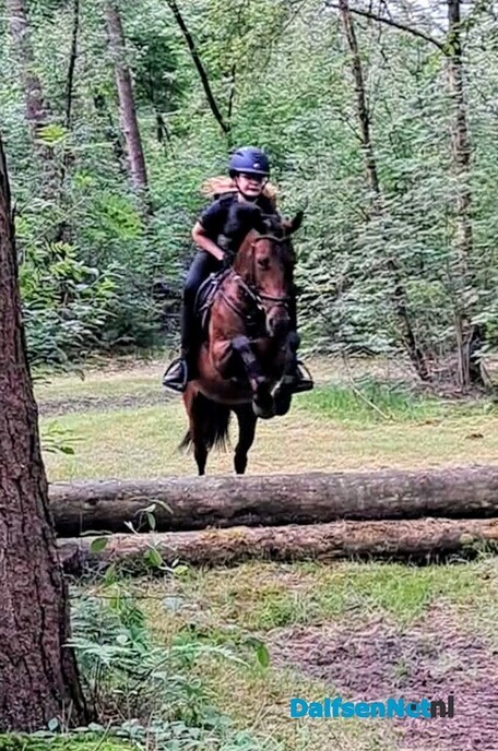 Sportverslag Paardensportvereniging Lemelerveld - Foto: Ingezonden foto