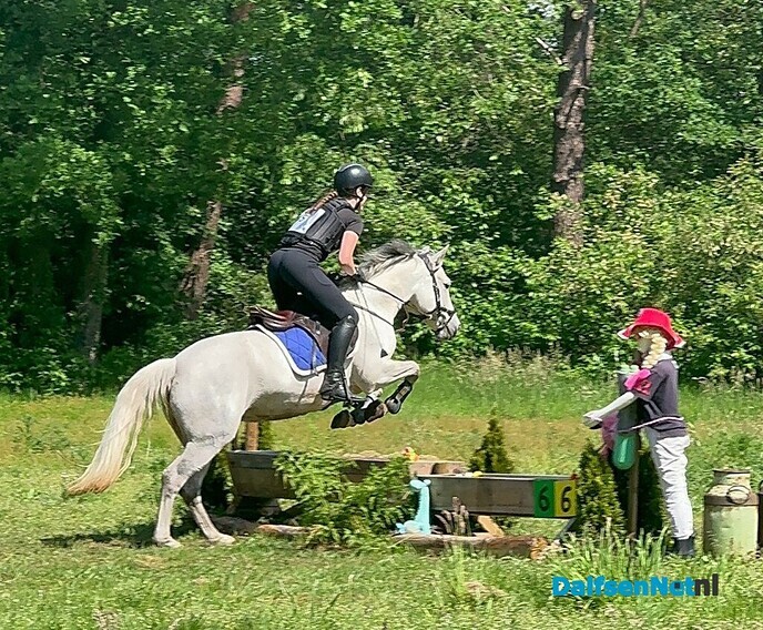 Sportverslag Paardensportvereniging Lemelerveld - Foto: Ingezonden foto