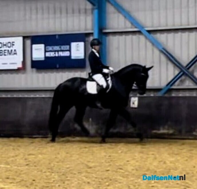 Sportverslag Paardensportvereniging Lemelerveld - Foto: Ingezonden foto