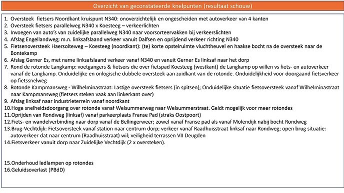 Veel belangstelling bijeenkomst over Koesteeg/Rondweg - Foto: Eigen geleverde foto